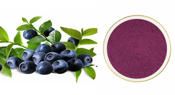 巴西莓粉有什么作用？可以长期食用吗？